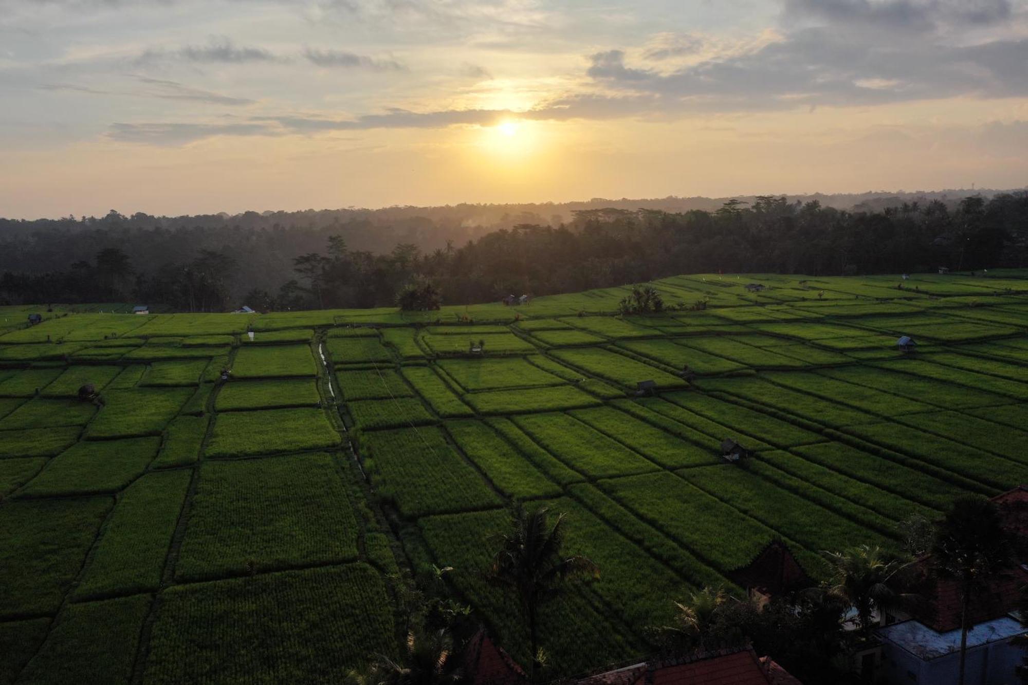 Umah Sunset Villa Ubud Buitenkant foto
